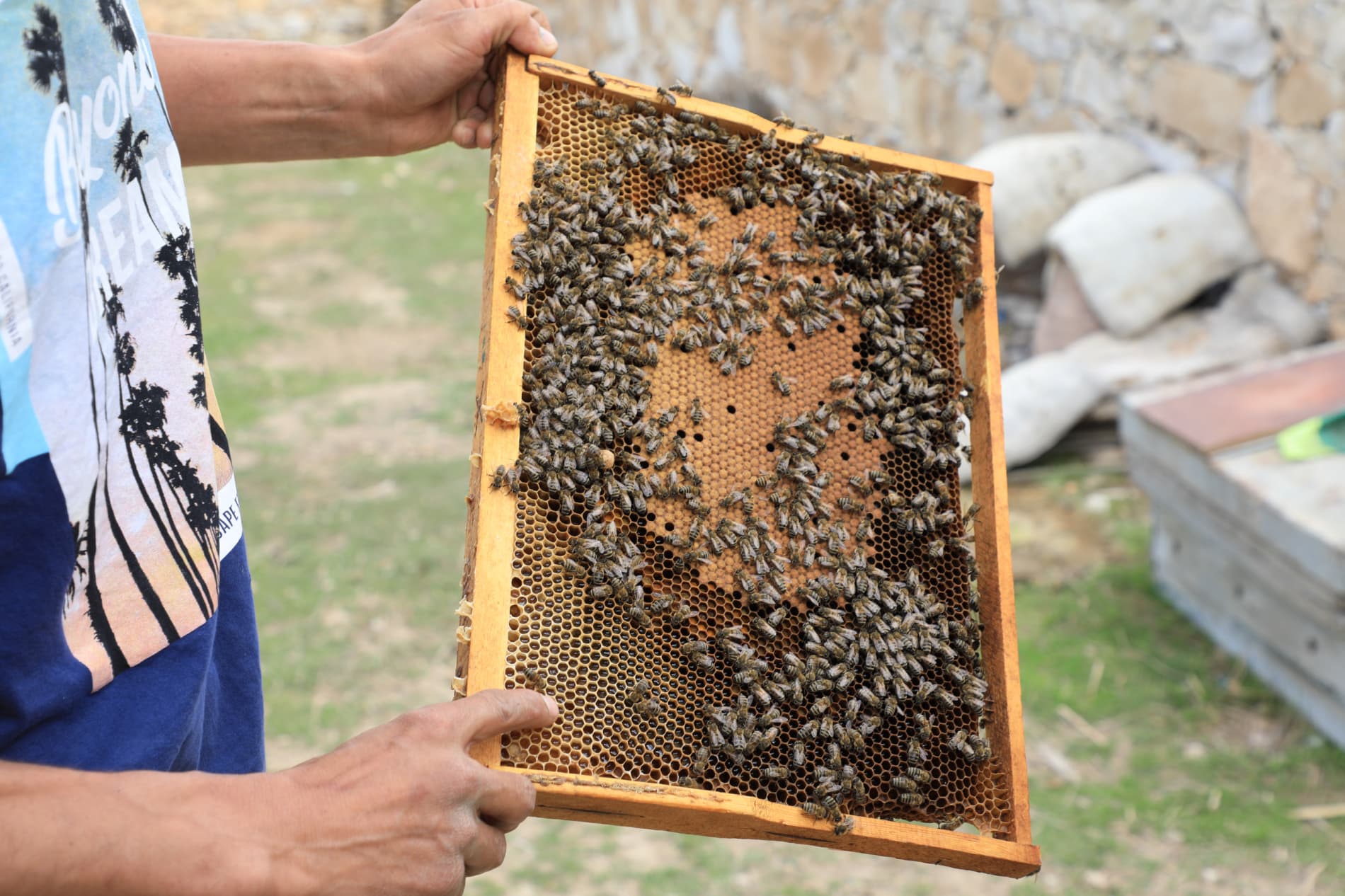 Payshanba — yoshlar kuni