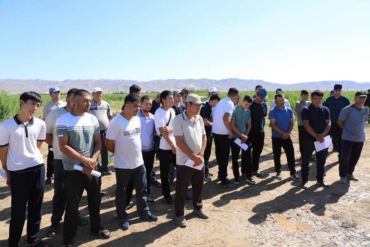 “Payshanba — yoshlar kuni” doirasida Nurota tumanida qishloq xo‘jaligi yo‘nalishida amaliy seminar tashkil etildi