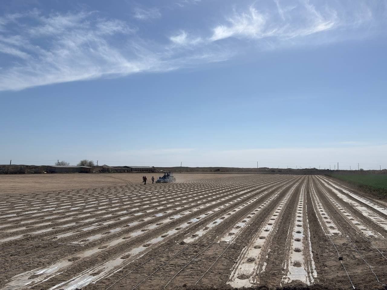 CHIQIT EKISH DAVOM ETMOQDA