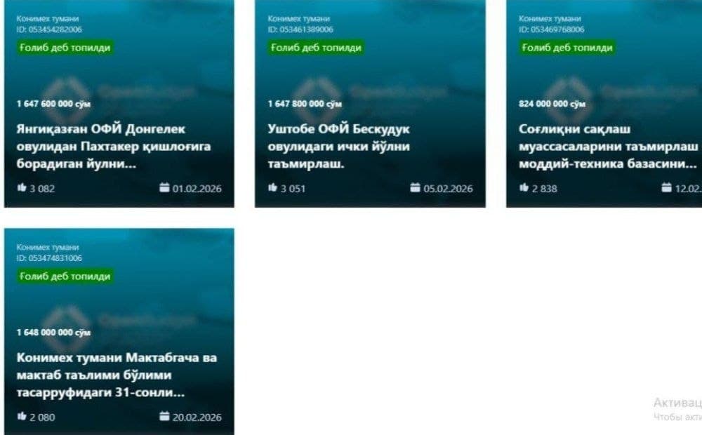 KONIMEX TUMANIDA “TASHABBUSLI BUDJET”NING GʻOLIB LOYIHALARI ANIQLANDI