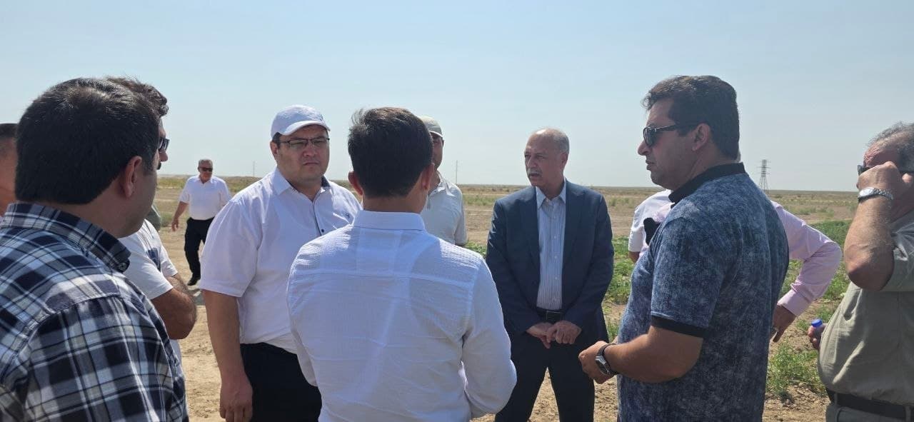 XALQARO HAMKORLIK