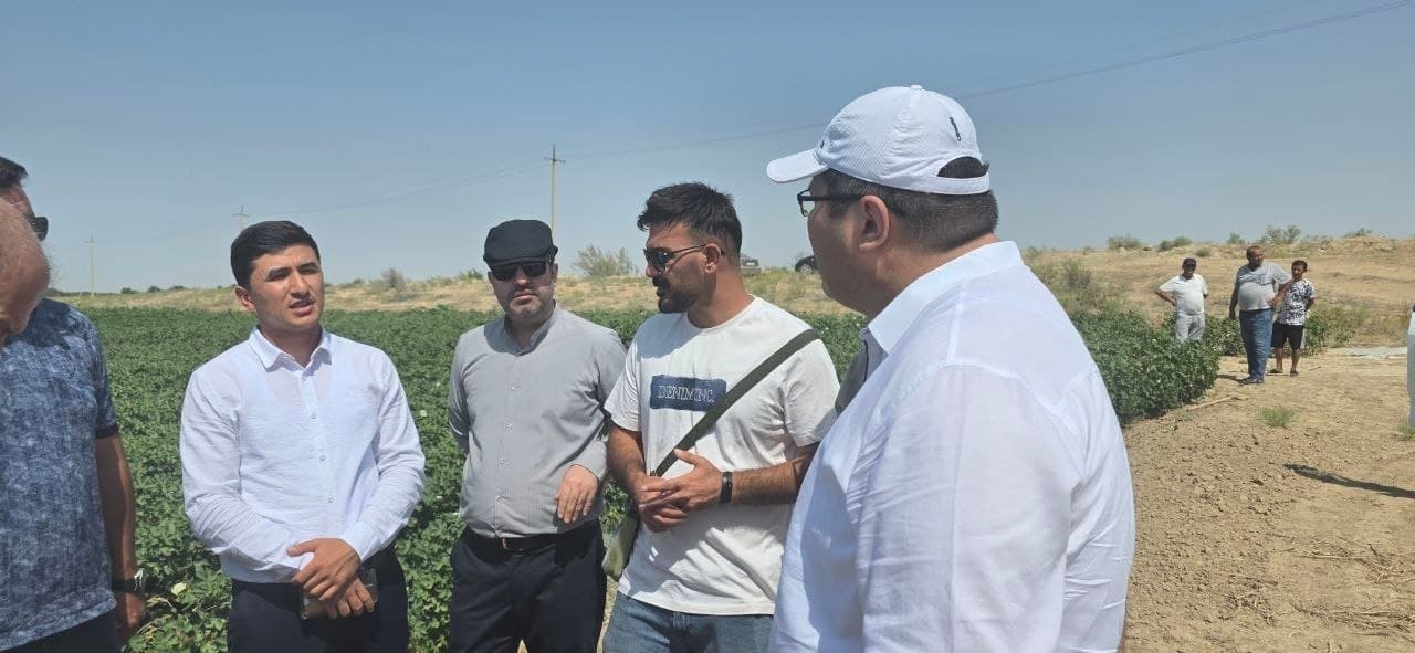 XALQARO HAMKORLIK