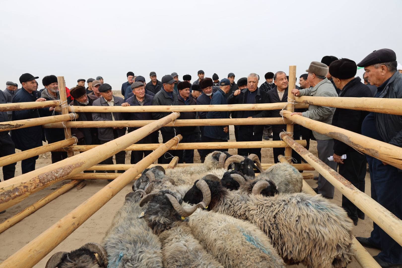 В пустынных территориях Миришкорского района проведён крупный практический-показательный семинар по восстановлению пастбищ