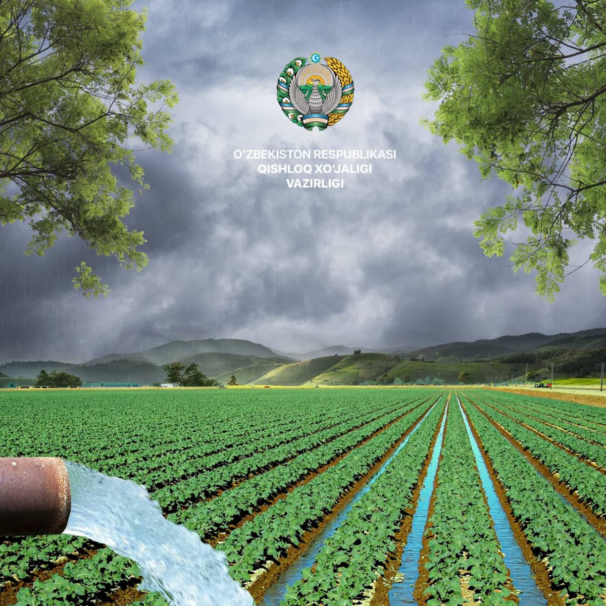 Bahor oylarining seryog‘in kelishining qishloq xo‘jaligi ekinlariga hamda mavjud suv resurslariga ta’siri