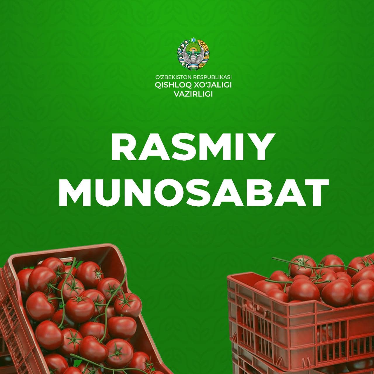 “Virusli pomidor”: Qozog‘istonga jo‘natilgan mahsulot zararlanganmidi?