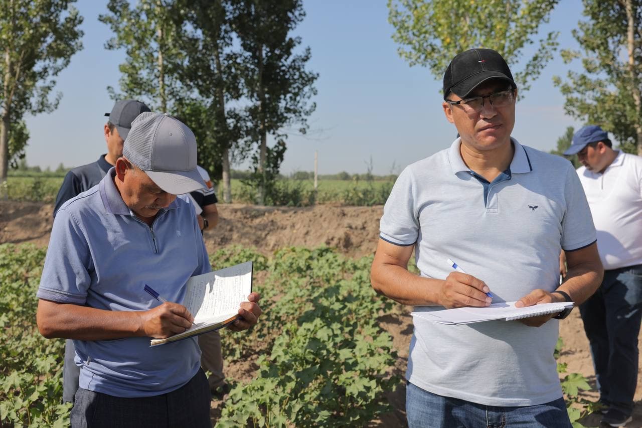 Agrotexnik tadbirlarni to‘g‘ri tashkil etish orqaligina mo‘l va sifatli hosil olish mumkin