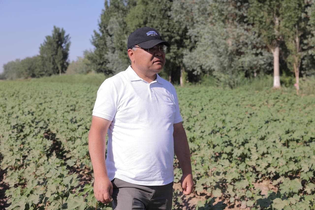 Agrotexnik tadbirlarni to‘g‘ri tashkil etish orqaligina mo‘l va sifatli hosil olish mumkin