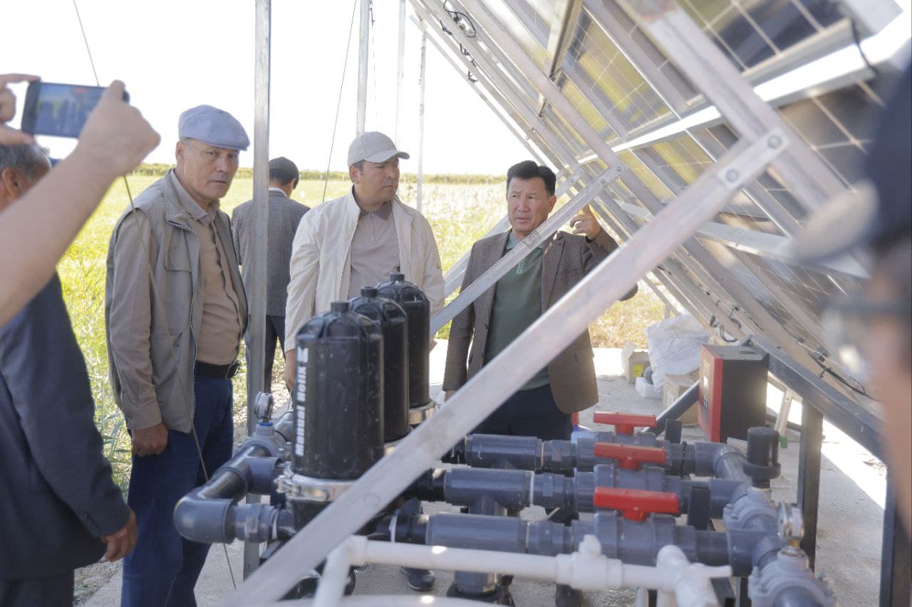 Новый подход к выращиванию риса – в рамках проекта «Эко-Арал» экономится вода и повышается урожайность