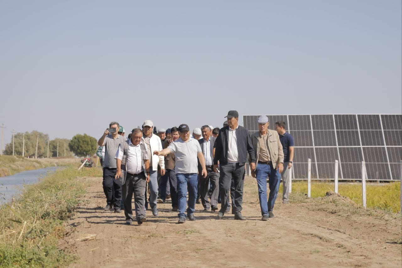 Новый подход к выращиванию риса – в рамках проекта «Эко-Арал» экономится вода и повышается урожайность