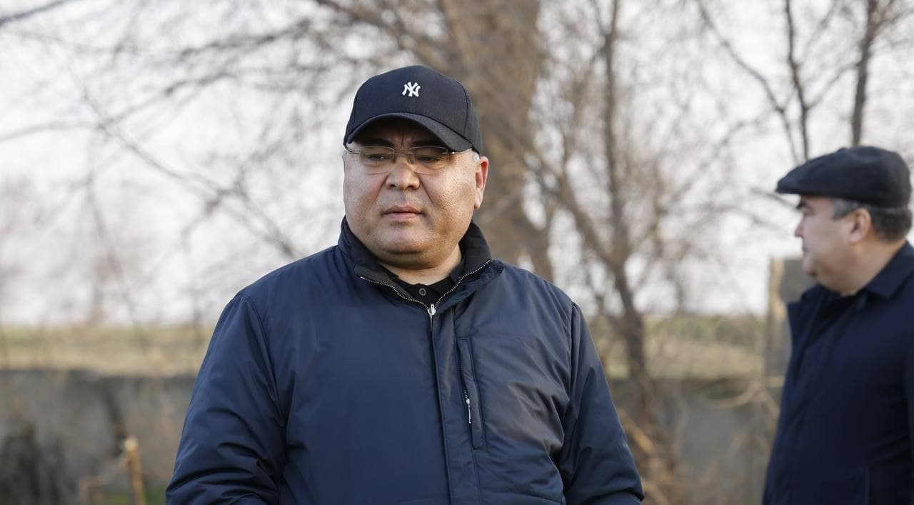 Яровизированные семена пшеницы - залог богатого урожая