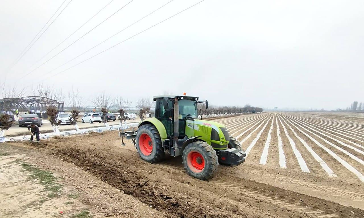 Андижан: в Алтынкуле начался сезон посева хлопчатника