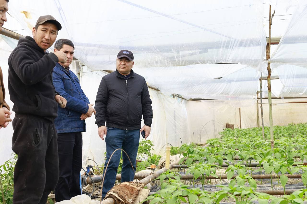 Issiqxonalar – aholi farovonligi va iqtisodiy o‘sish omili