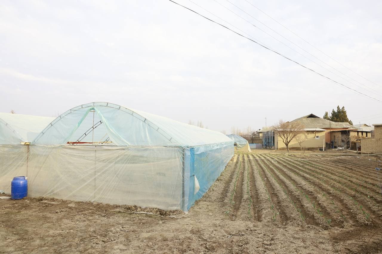 Issiqxonalar – aholi farovonligi va iqtisodiy o‘sish omili