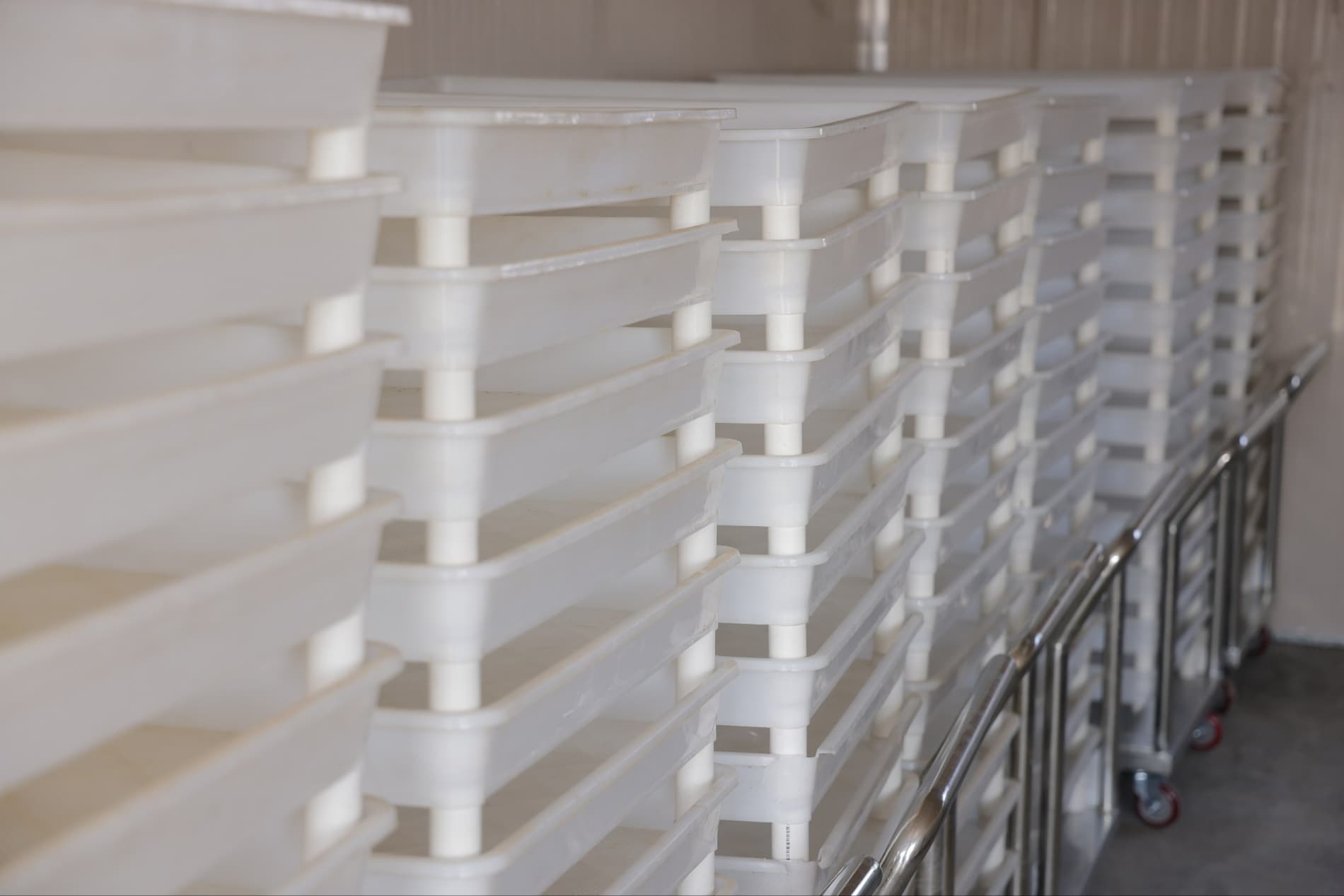 В Чиназе будет создан комплекс по шелководству