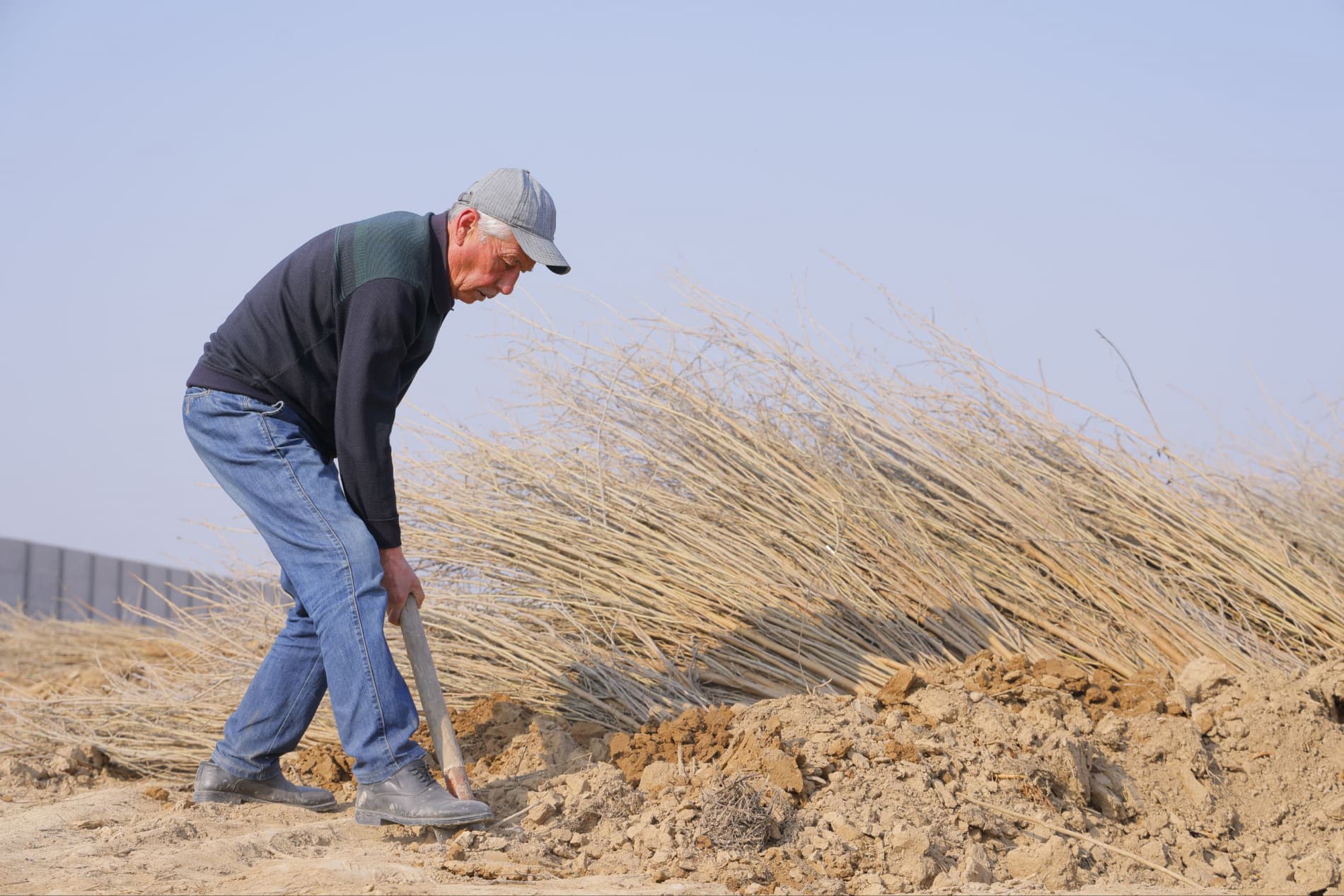 В Чиназе будет создан комплекс по шелководству