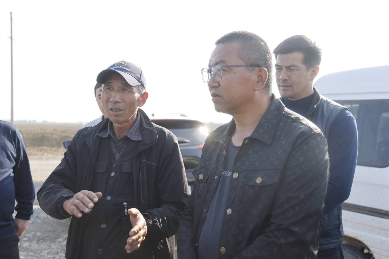 Эффективное использование зарубежного опыта в выращивании сортов хлопка обеспечивает результативность