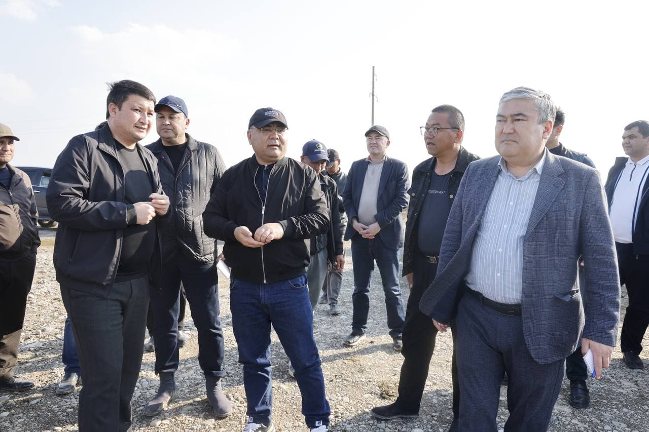 Эффективное использование зарубежного опыта в выращивании сортов хлопка обеспечивает результативность