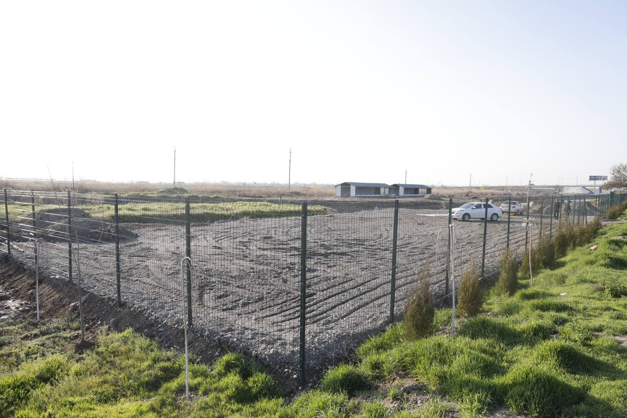 Эффективное использование зарубежного опыта в выращивании сортов хлопка обеспечивает результативность