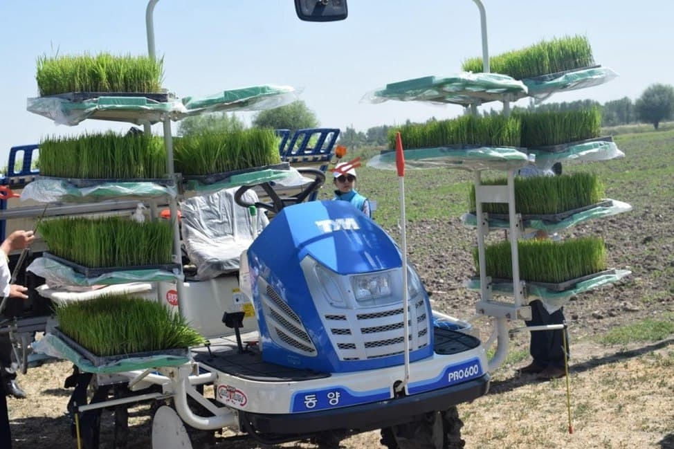 “Агросубсидия”: новые виды субсидий для рисоводов