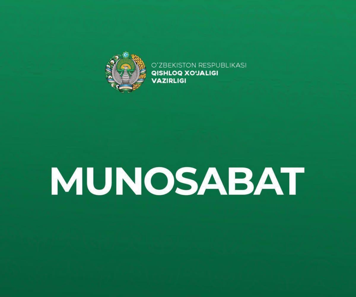 Piyoz narxi bo‘yicha rasmiy munosabat