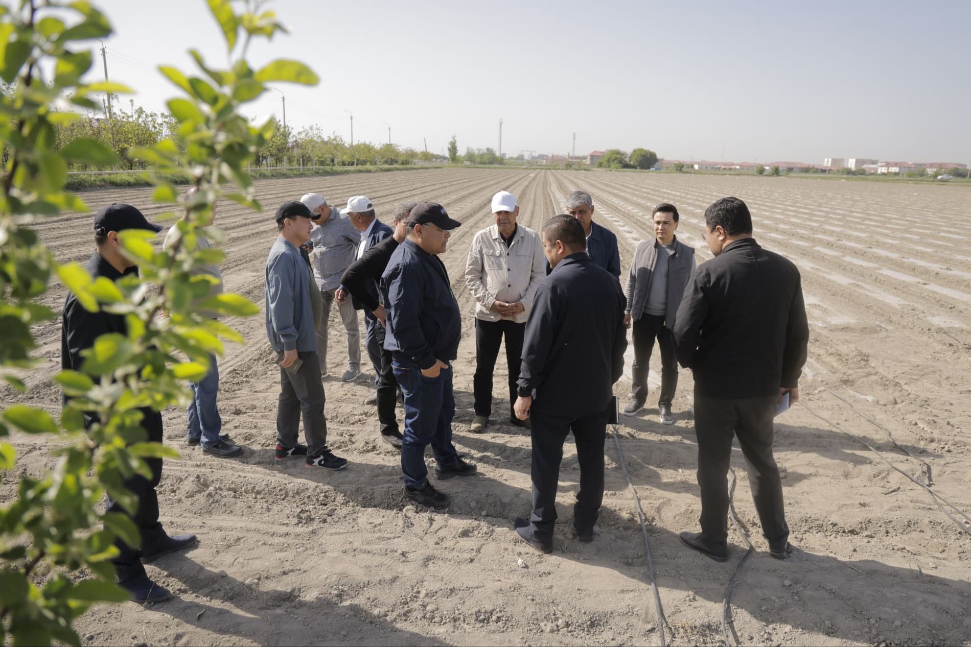 Бухара: развитие сельского хозяйства — важный шаг на пути к прогрессу