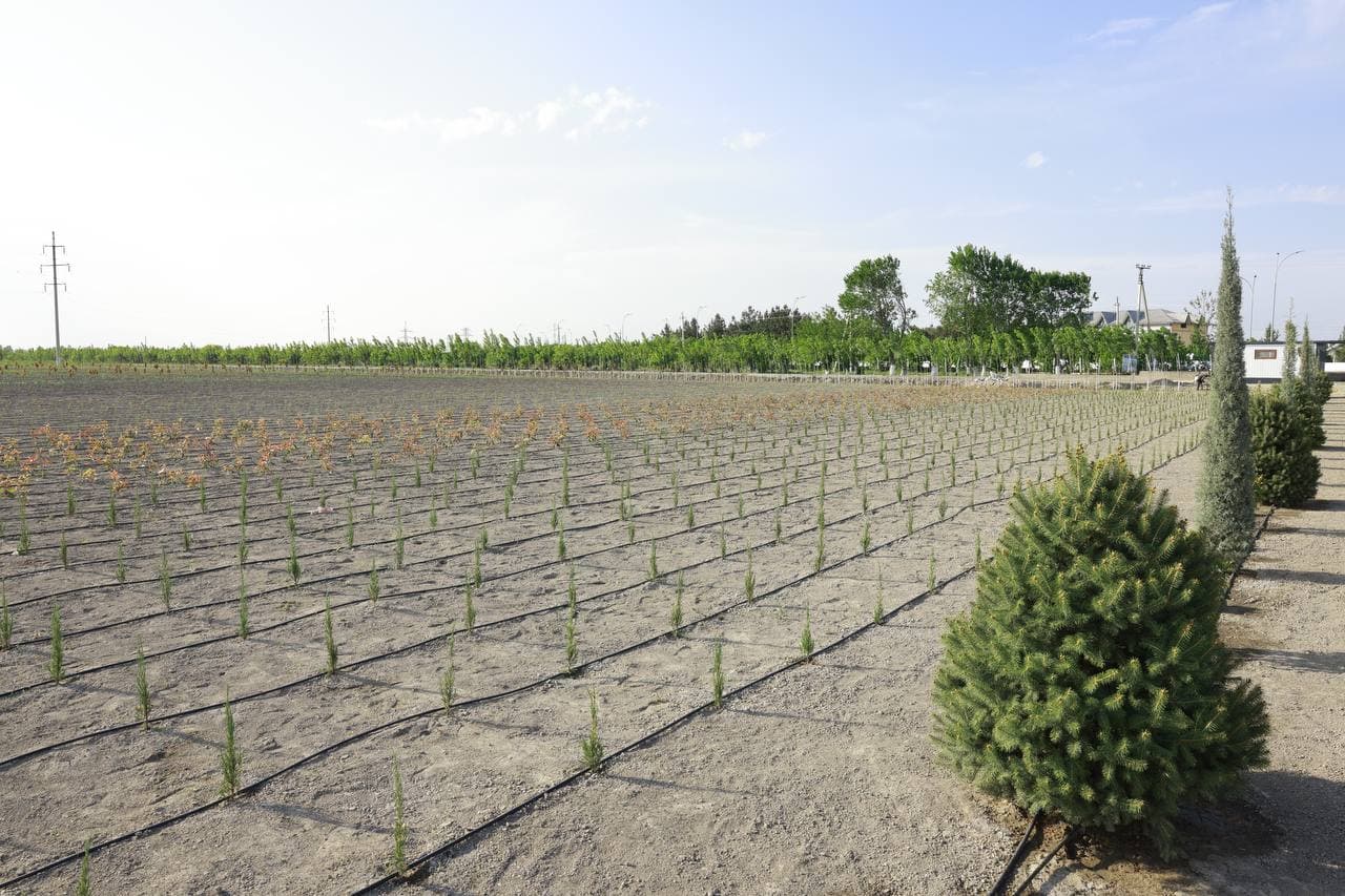 “Green World” – Andijon qishloq xo‘jaligining yangi ufqlari