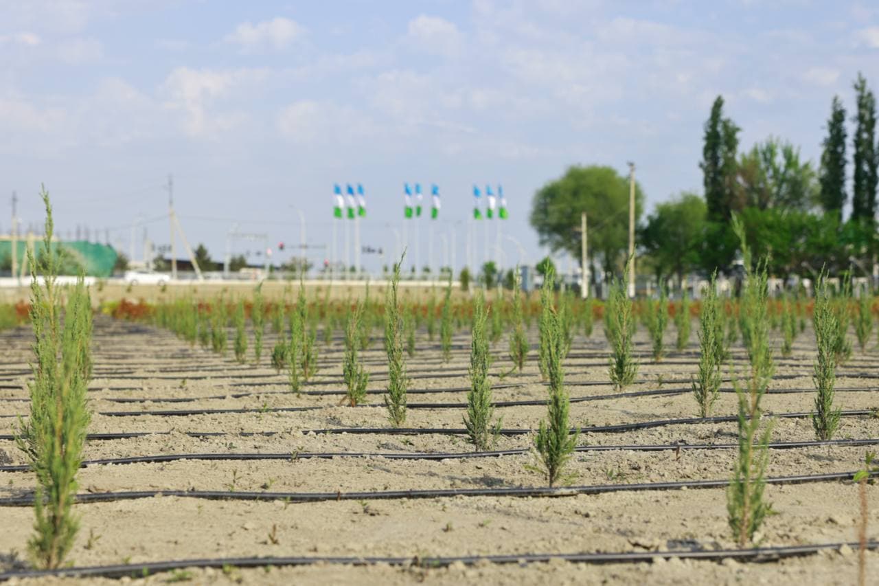 “Green World” – Andijon qishloq xo‘jaligining yangi ufqlari