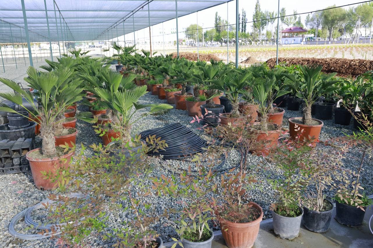 “Green World” – Andijon qishloq xo‘jaligining yangi ufqlari