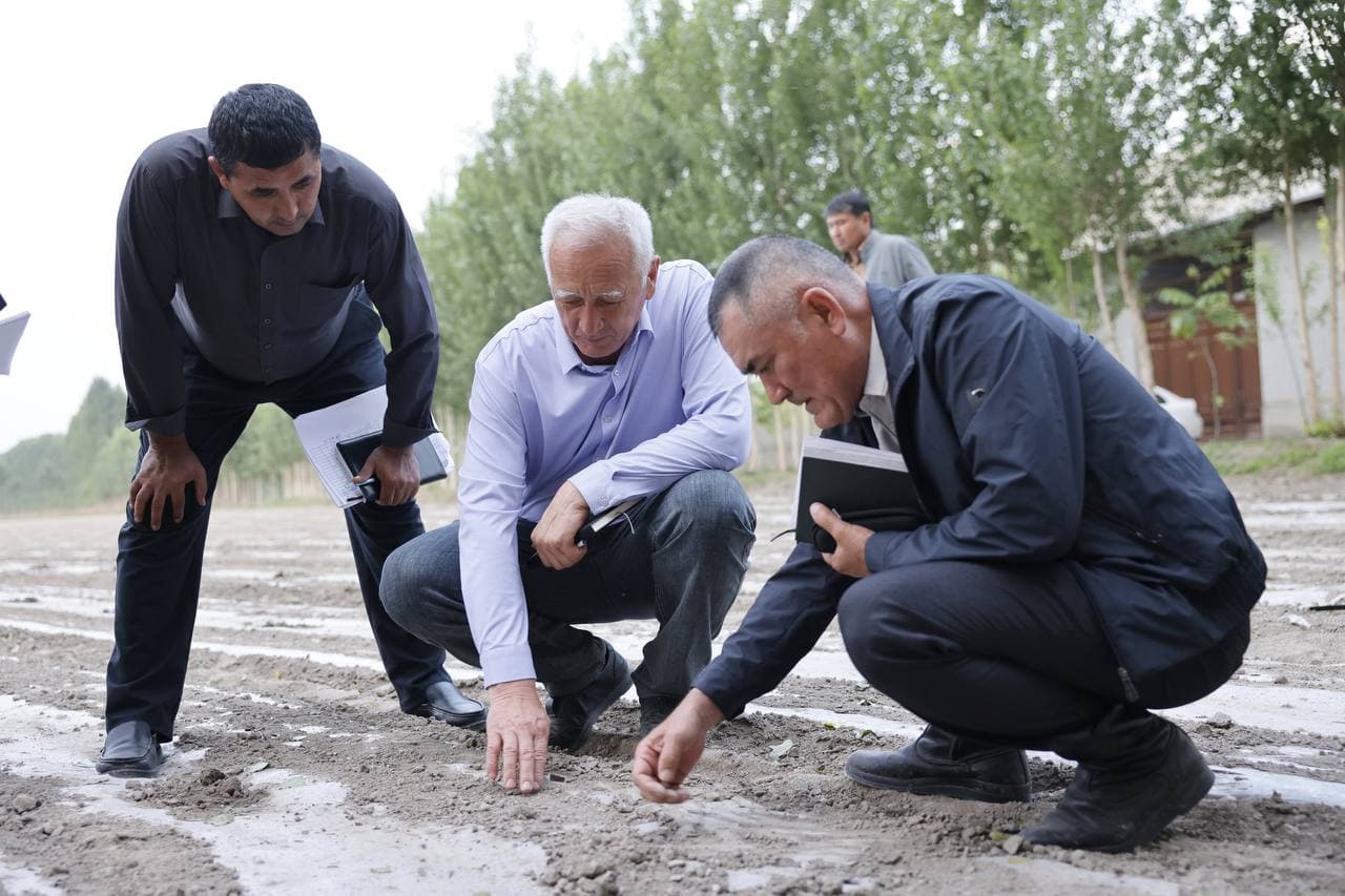 Каждый участок поля — источник обильного урожая