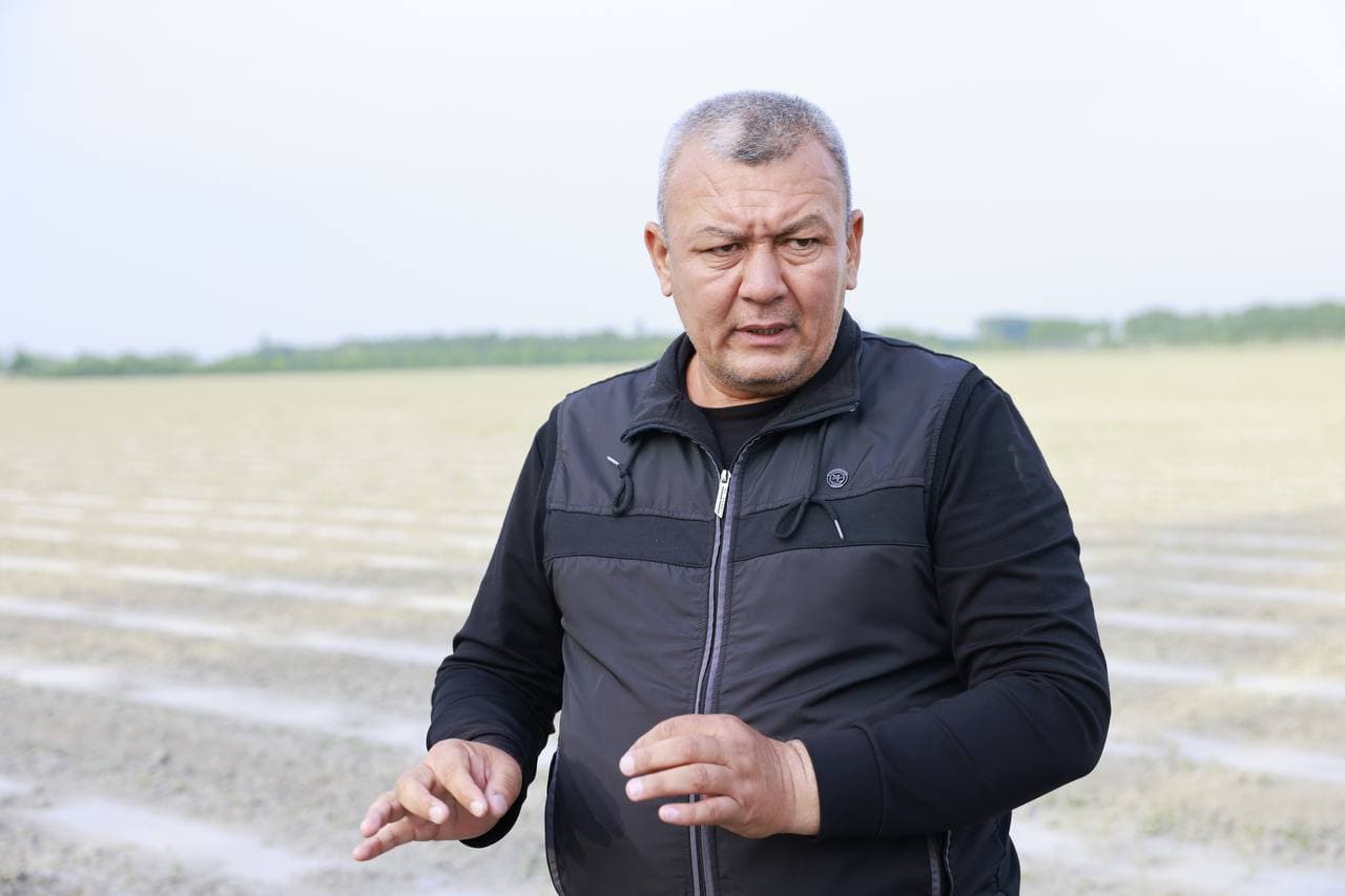 Создание буферных зон — залог урожайности