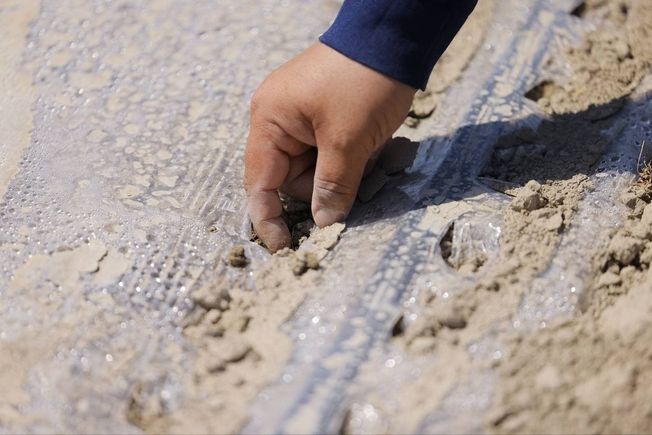 To‘g‘ri yondashuv — to‘g‘ri natija demak