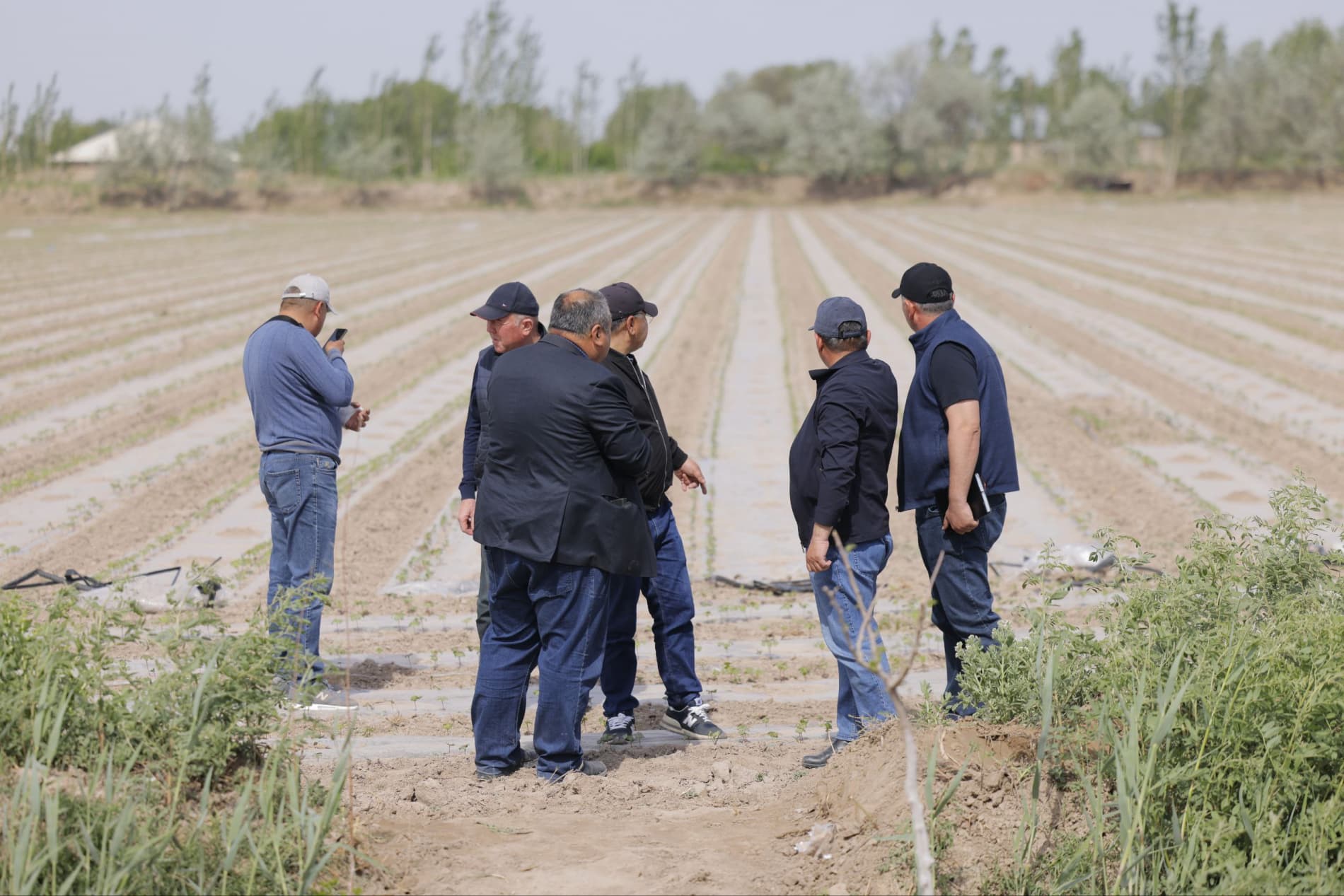 Инновационный подход в хлопководстве: проблемы и решения