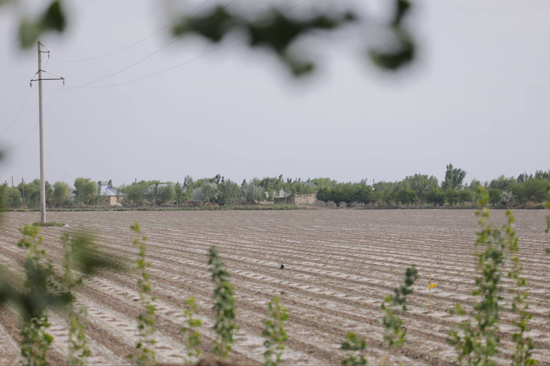 Китайские технологии — на опыте местных фермеров