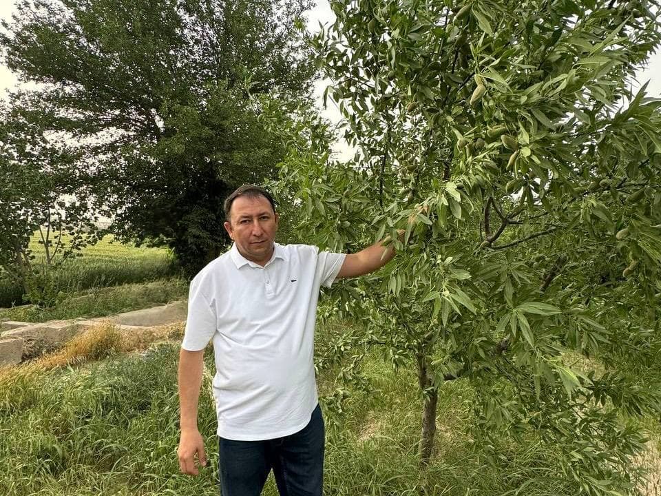 В Афганистане создадут «Сад дружбы» – новый этап аграрного сотрудничества между двумя странами