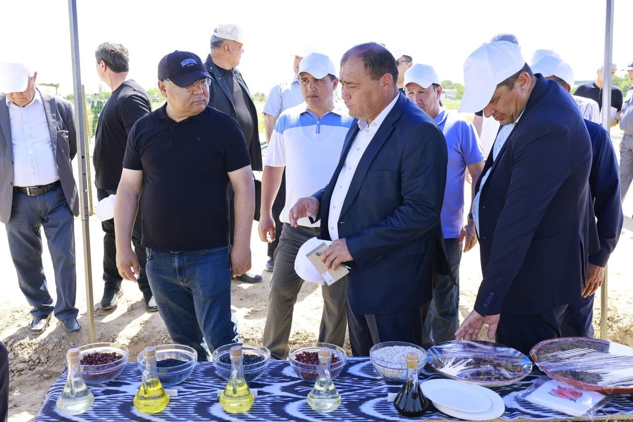 В Кашкадарье иностранные сорта хлопка и пшеницы выращиваются по новой технологии