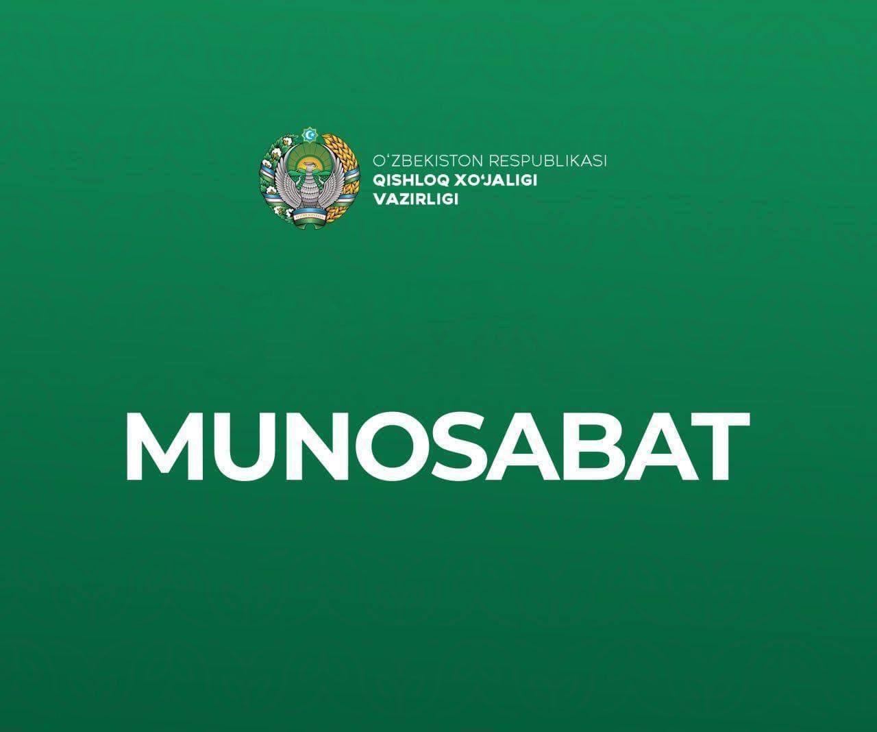 Узбекистан входит в число стран с самыми низкими ценами на мясо в мире