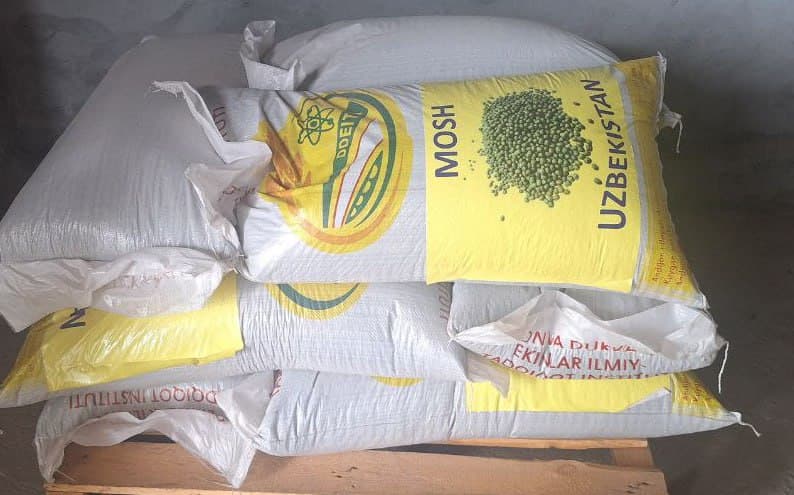 Yerga hayot, dehqonga umid: O‘zbekistondan Afg‘onistonga sara urug‘lar yetkazib berildi