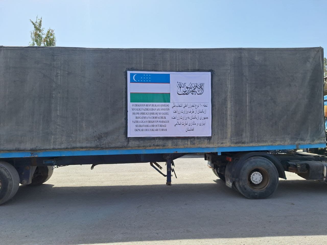 Yerga hayot, dehqonga umid: O‘zbekistondan Afg‘onistonga sara urug‘lar yetkazib berildi