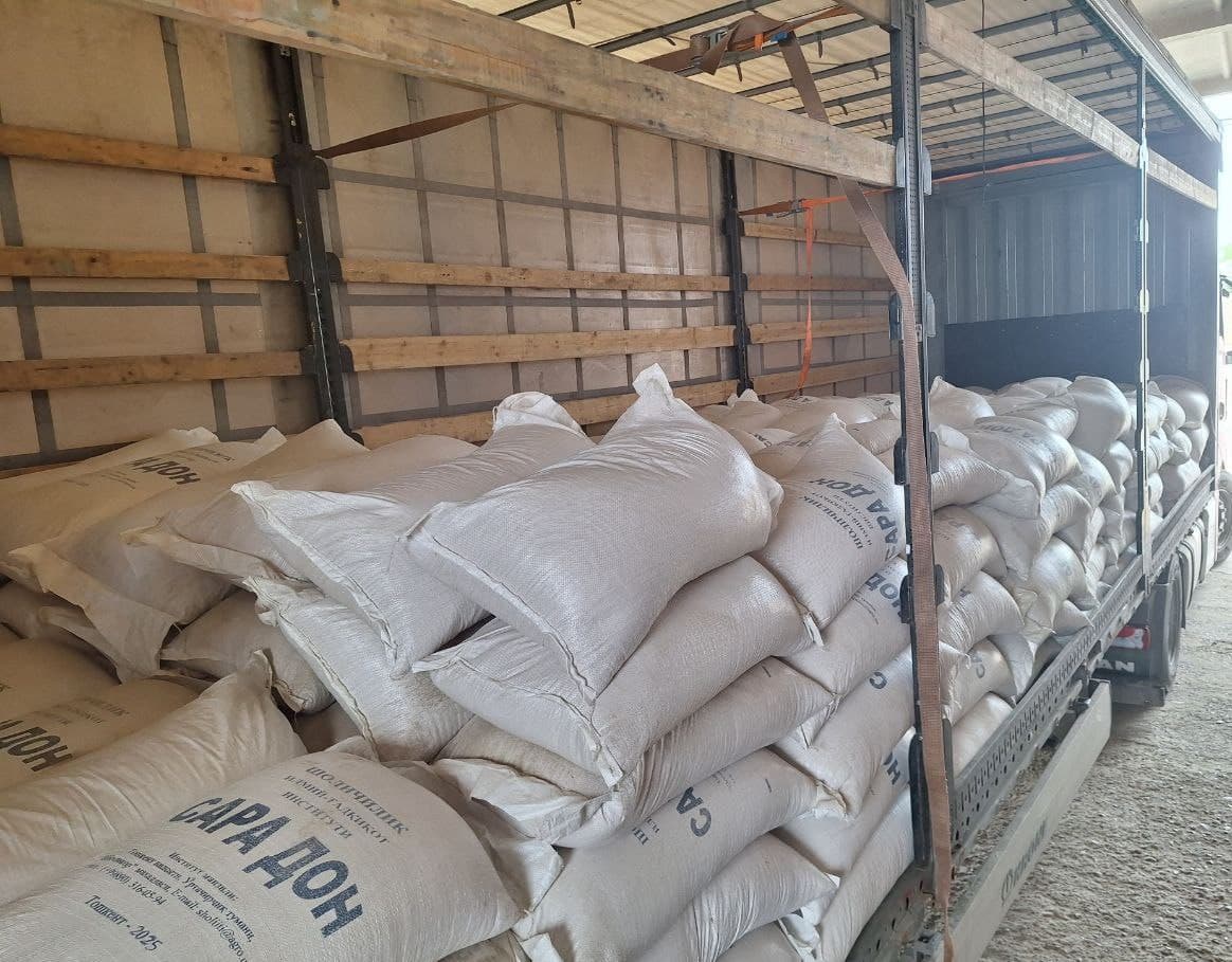 Yerga hayot, dehqonga umid: O‘zbekistondan Afg‘onistonga sara urug‘lar yetkazib berildi