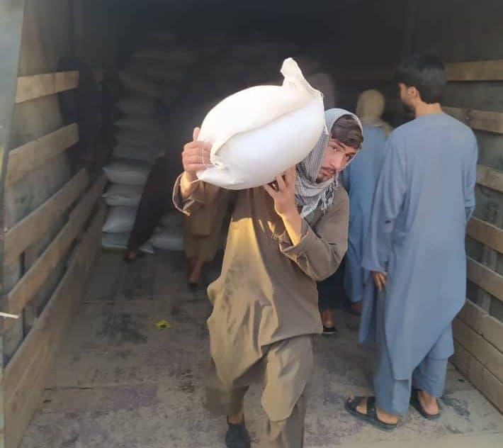 Yerga hayot, dehqonga umid: O‘zbekistondan Afg‘onistonga sara urug‘lar yetkazib berildi