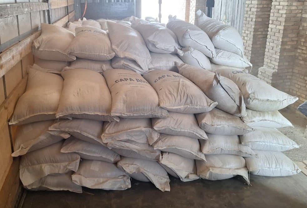 Yerga hayot, dehqonga umid: O‘zbekistondan Afg‘onistonga sara urug‘lar yetkazib berildi