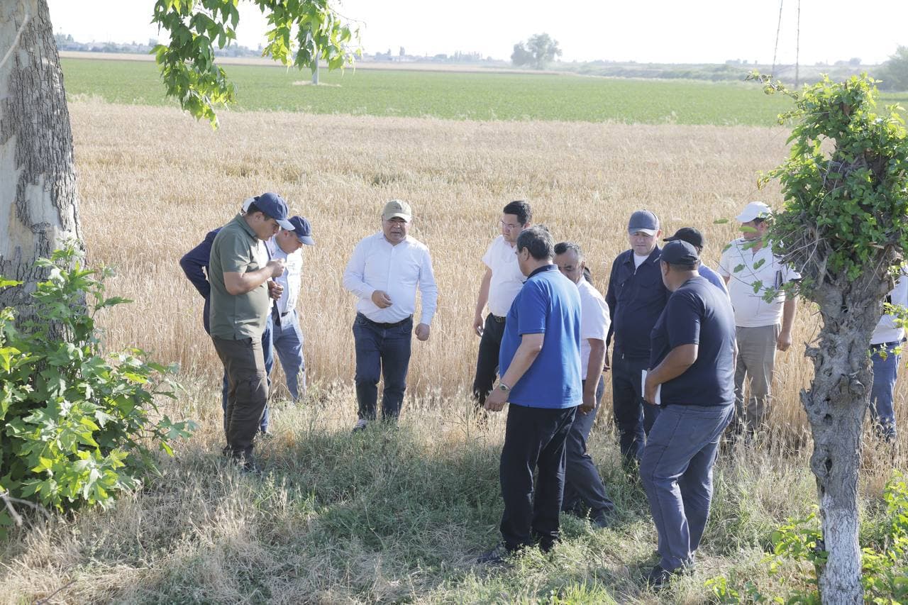Бекабад: испытание новых сортов будет налажено на основе научного подхода