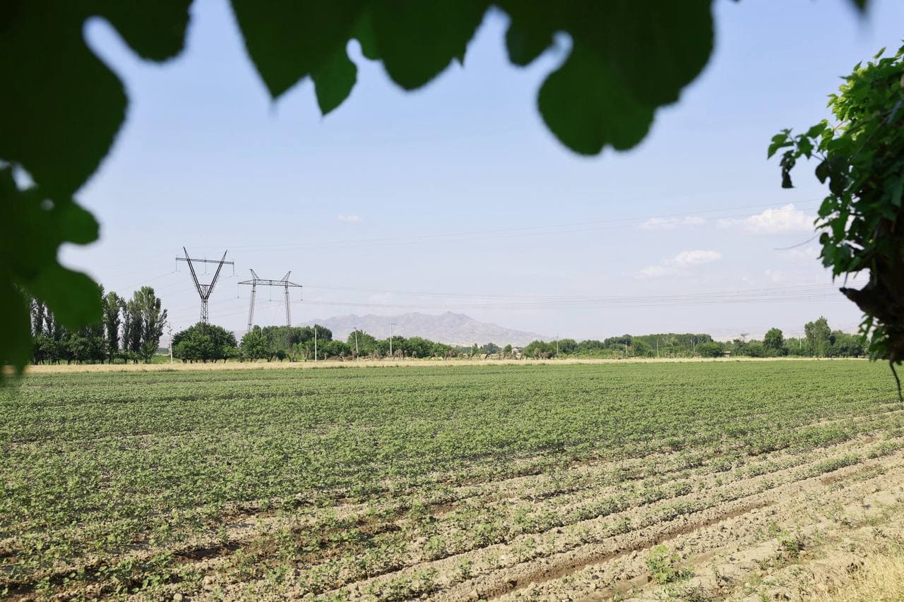 Гарантия урожайности — в гармонии науки, знаний и опыта