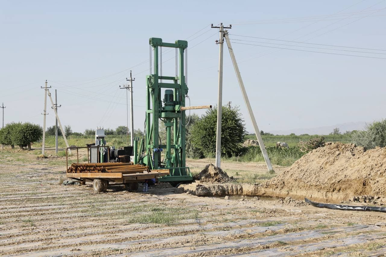 Выращивание иностранных сортов требует правильного и системного подхода