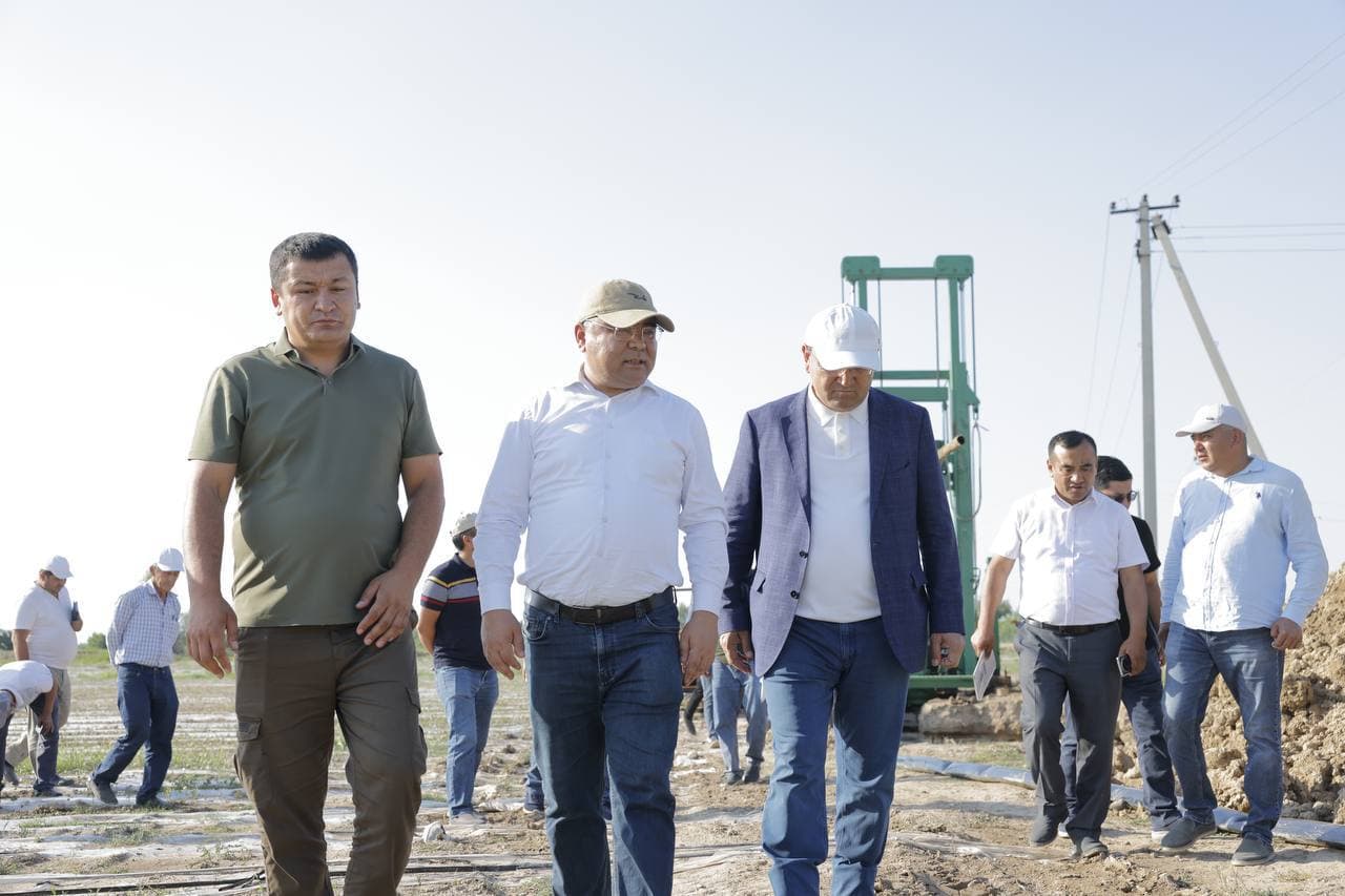 Выращивание иностранных сортов требует правильного и системного подхода