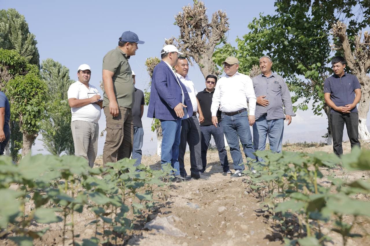 Гарантия урожайности — в гармонии науки, знаний и опыта