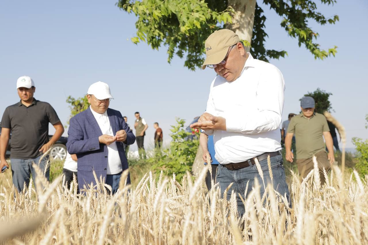 Бекабад: испытание новых сортов будет налажено на основе научного подхода