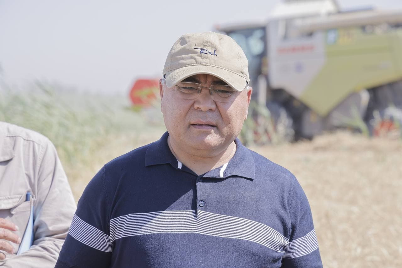 Cho‘l hududidagi bug‘doy maydonidan yuqori hosil kutilmoqda