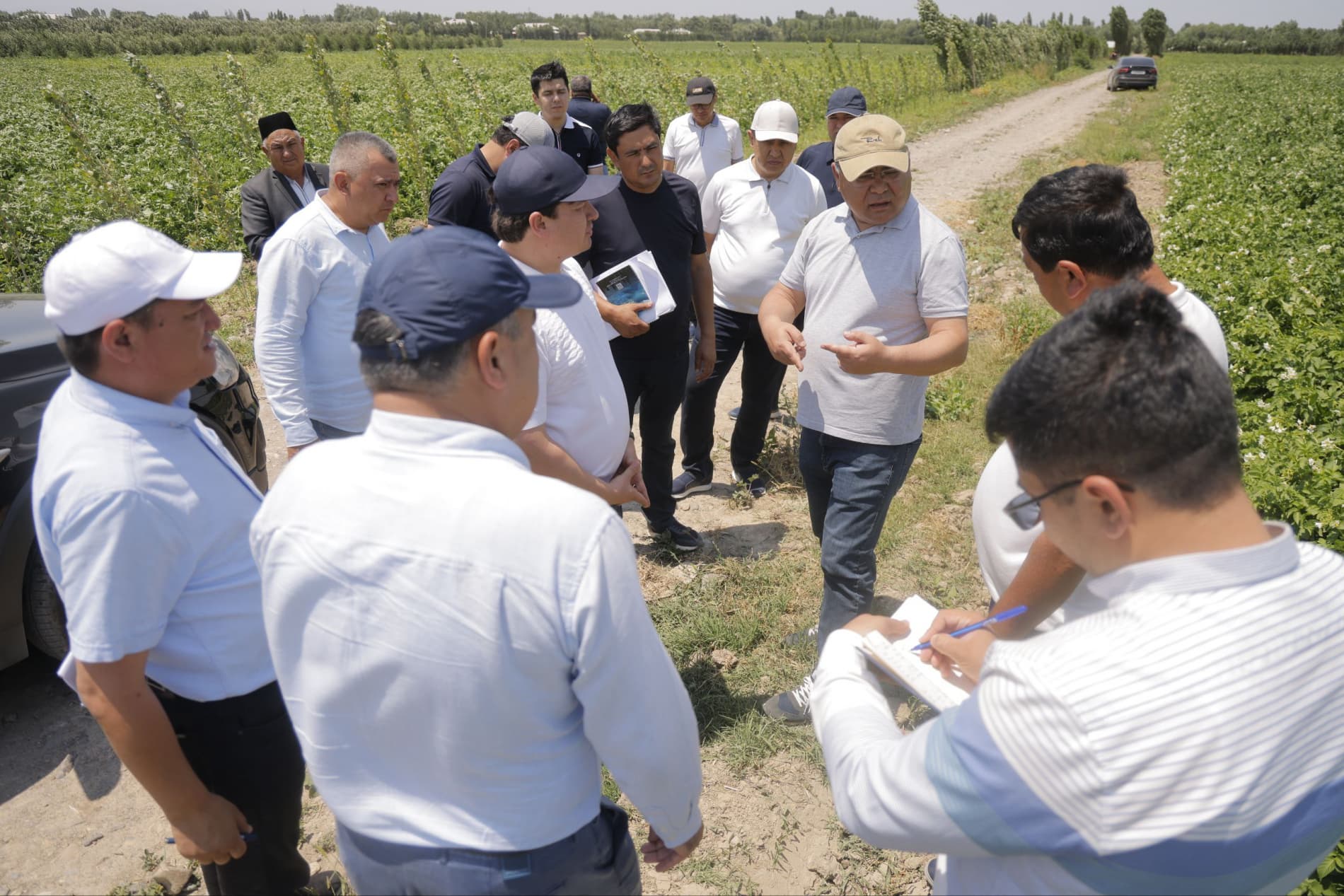 Бахмал: Новый этап в современном картофелеводстве