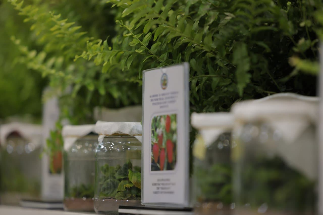 Eco Expo Central Asia 2025 — Barqaror qishloq xo‘jaligi sari dadil qadam